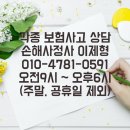 경기손해사정 / 자동차 사고보상 지급기준 비교(법률 vs 자동차보험약관) 이미지