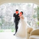 Wedding❣️부산 해운대 루엘스튜디오 리뉴얼 촬영 후기 2탄(12월촬영/실내1층, 실내2층, 온실)