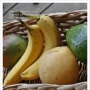 효소 - 면역력 키우는 바나나, 버섯효소 만들기 이미지
