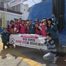 유영가구
