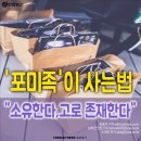 포미족의 라이프 스타일 이미지