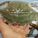 밥도둑간장게장 이미지