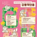 강릉모루도서관 이미지