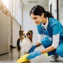 이태원동물병원 | 이태원동물병원, 수의사도 믿고 맡기는 조건 3가지