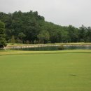 신안골프 이미지