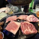 열날개 이미지