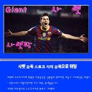 EPL 스토크시티 [1] - 감독 위임 이미지