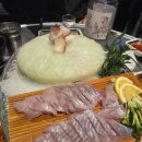 통통회 | 서울 발산역 횟집 통통한오징어 후기 우럭회 갑오징어회 2차 술집 추천