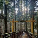 씨앗등펜션 이미지