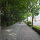 요꼬치킨 | 날 붙잡고 말해줘 사랑은 병 중독