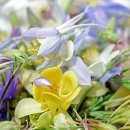 남인천여자중학교 이미지