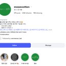 비즈앤플라워 | 모스앤코튼 사전 방문 및 드레스 피팅 후기(날것주의) 드레스 무료대여 웨딩 스튜디오 추천