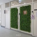 아주유치원 | [다루이] 시설 좋은 금천구애견유치원의 데이케어 후기