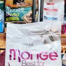 카모션정비센타 이미지