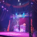 사천세계문화콘텐츠 상설공연장 | 사천세계문화 콘텐츠 상설공연장