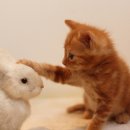 해동한의원 이미지