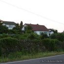 노을과포도향기 이미지