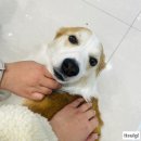 오렌즈 제주서귀포점 이미지