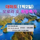 대마도투어주 이미지