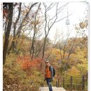 [급번개산행]11월13일(일요일)앨콜!! 남산단풍숲, 흙길걷기 이미지