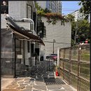 한라산도새기 이미지