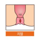 시흥드림항유외과