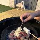 스테이 두리 이미지