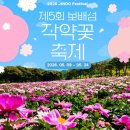 달콤한작은음악회<클래식> | 2026 진도 보배섬 약사사 작약꽃축제 기간, 분홍빛 물결 속 남도 봄 여행 완벽 가이드