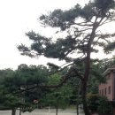 홍원연수원 이미지