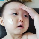 브라운스킨