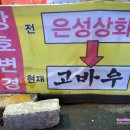 고바우상회 이미지