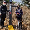 월성탕 앞 사거리~코아루 앞 교차로 | 남파랑길 통영 30코스- 무전동 해변공원에서 원산리 바다휴게소까지