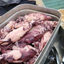 [내돈내산] 충남갯벌 추천 갯벌체험이 가능한 별빛갯벌캠핑장 A-2구역 리뷰