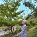 지리산물푸레흙집펜션 이미지