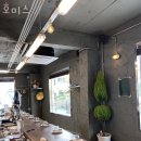 호미스 이미지