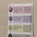 엄지척안마원 이미지