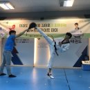 최강국가대표태권도 이미지