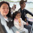 미니스톱 신안안좌점 | 신안 퍼플섬, 아이랑 가도 괜찮을까?｜직접 다녀온 리얼 후기!
