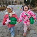 드림아이유치원 이미지