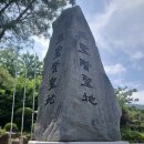 삼성사 티스토리