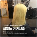 미사미용실:: 미사미용실, 탈색 머리 전용 클리닉 잘하는 미사 살롱드하이니즘미용실 왕 추천
