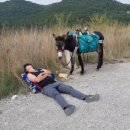 호택농장 이미지