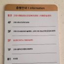 서울특별시 구로구 치매안심센터 | "아빠, 건강보험공단 필수 검진이래"… 거짓말하며 찾아간 치매안심센터 방문기 (일산·구로 정보)