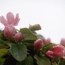 하동요양원 이미지