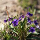 송천주유소 이미지