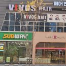 비보스헤어