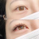 래쉬바이솔