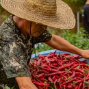 자연이 깃든 농장 이미지