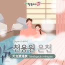 청일탕 이미지