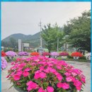 영덕04 Daum카페